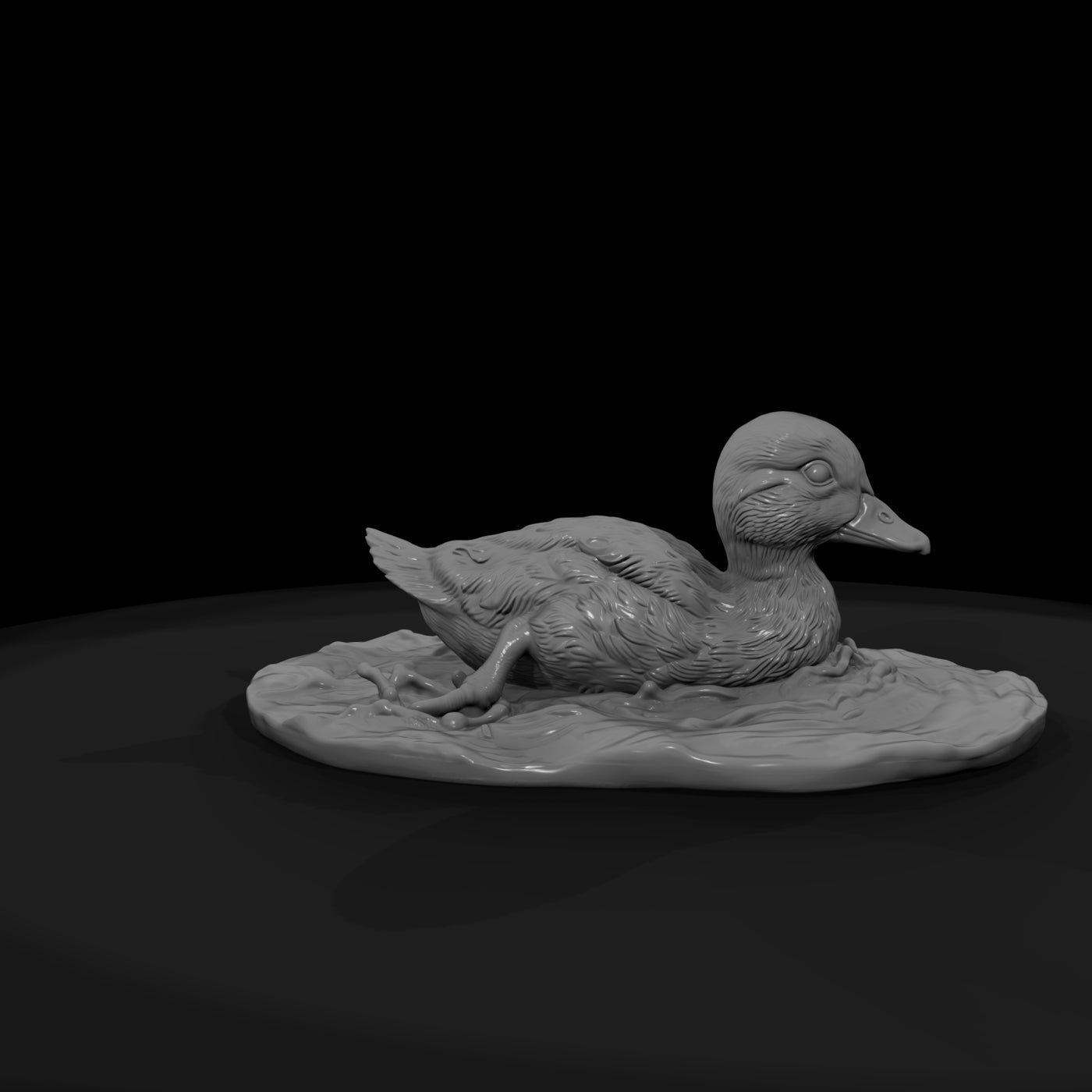 ant-096-mandarin-duck-adolescent