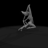 acrobat — thumbnail 8