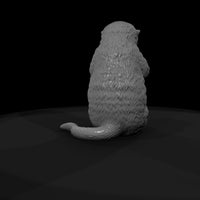 ant-185-sea-otter-female — thumbnail 7