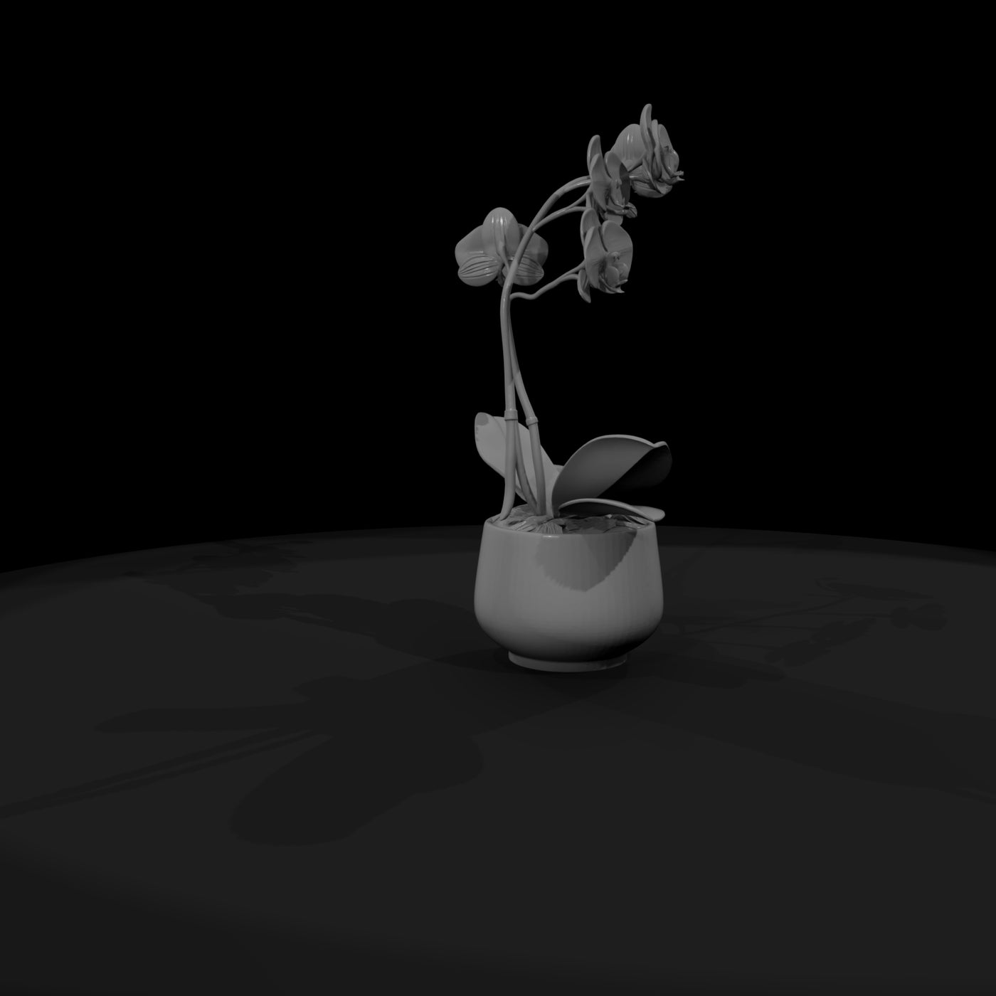 stylized-monochrome-potted-orchid-3d-model-xfzrzzj