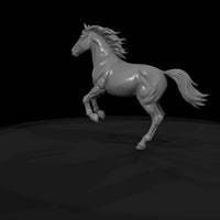 pinto-pony — thumbnail 9