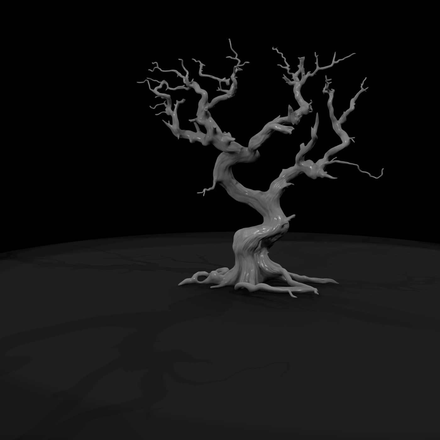 20260612-ancient-twisted-dead-tree-cfc565e291