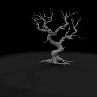 20260612-ancient-twisted-dead-tree-cfc565e291 — thumbnail 8