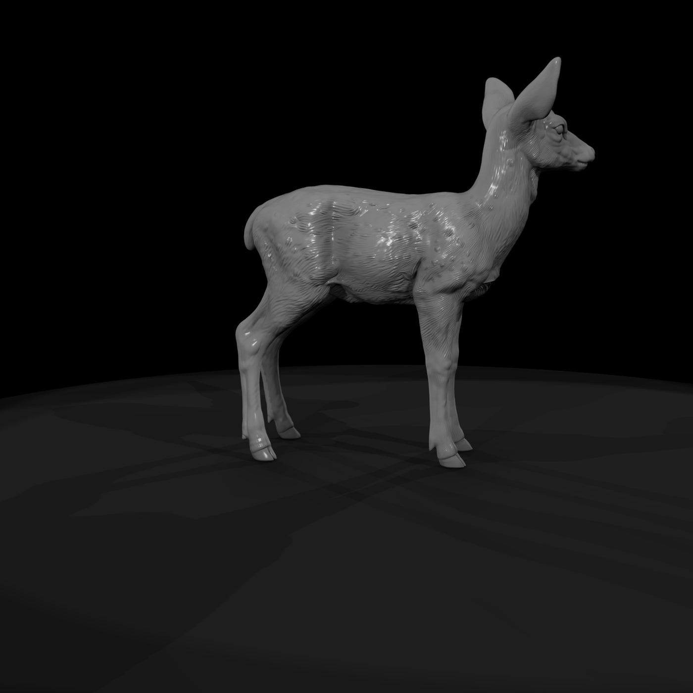 ant-042-red-deer-adolescent
