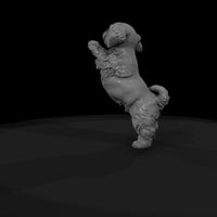 all-the-puppies-9229edec-meshref — thumbnail 7