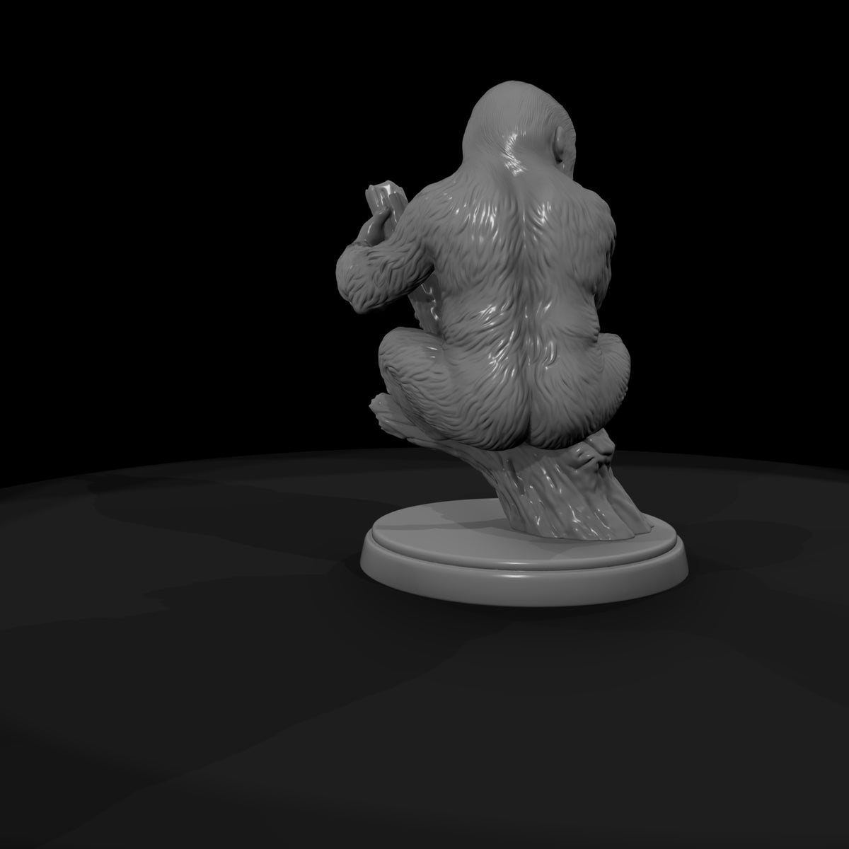 ant-039-western-gorilla-adolescent