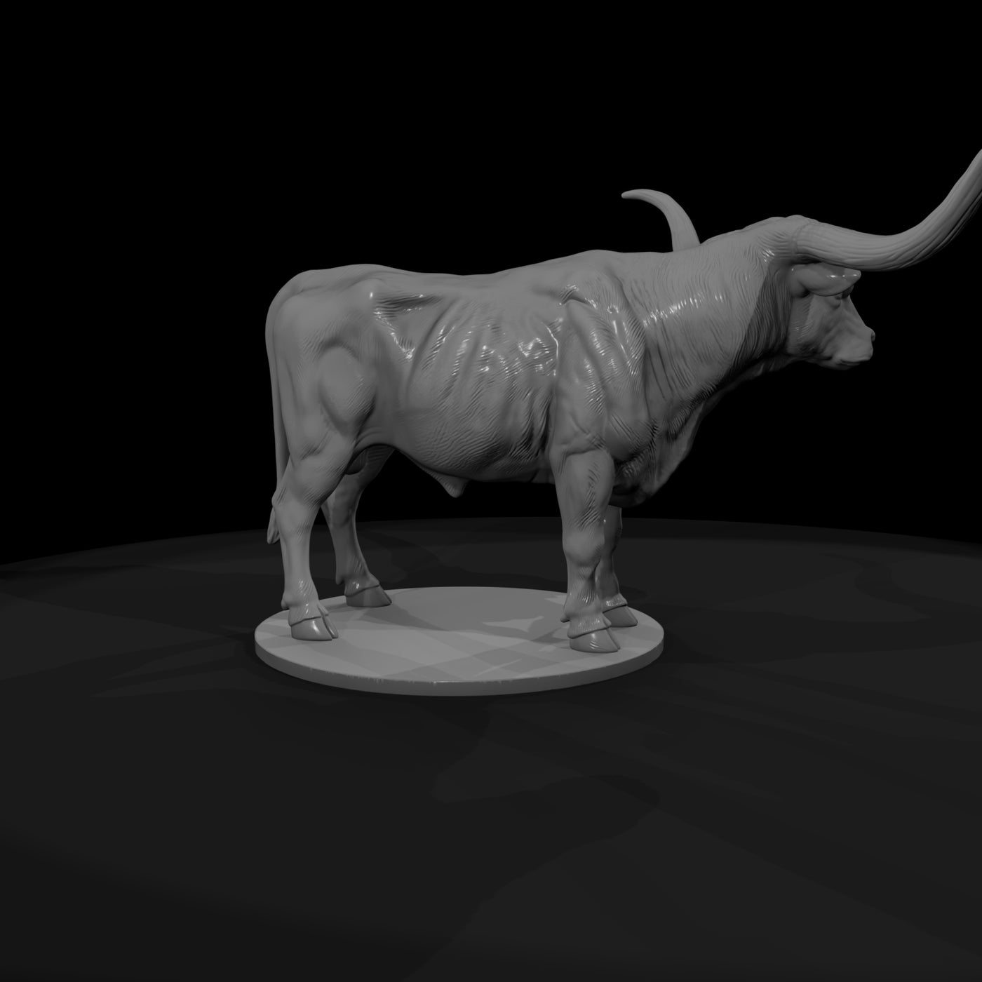 ww-0294-animal-texas-longhorn-steer