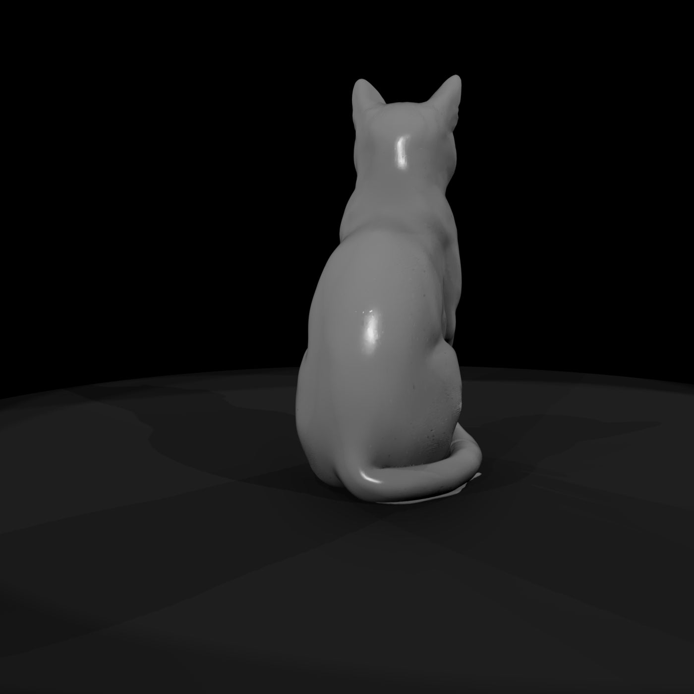 a-collection-of-housecats-snowshoe-bc6d2bb2-meshre