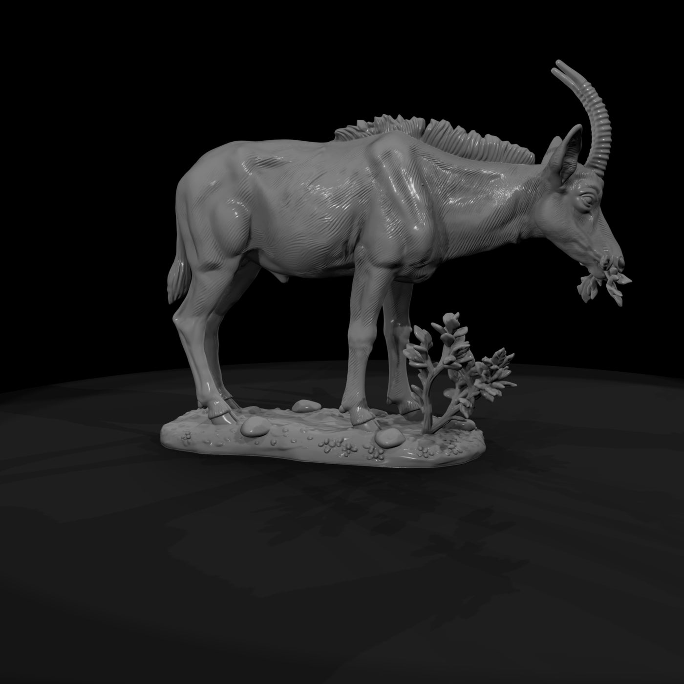 ant-233-sable-antelope-female