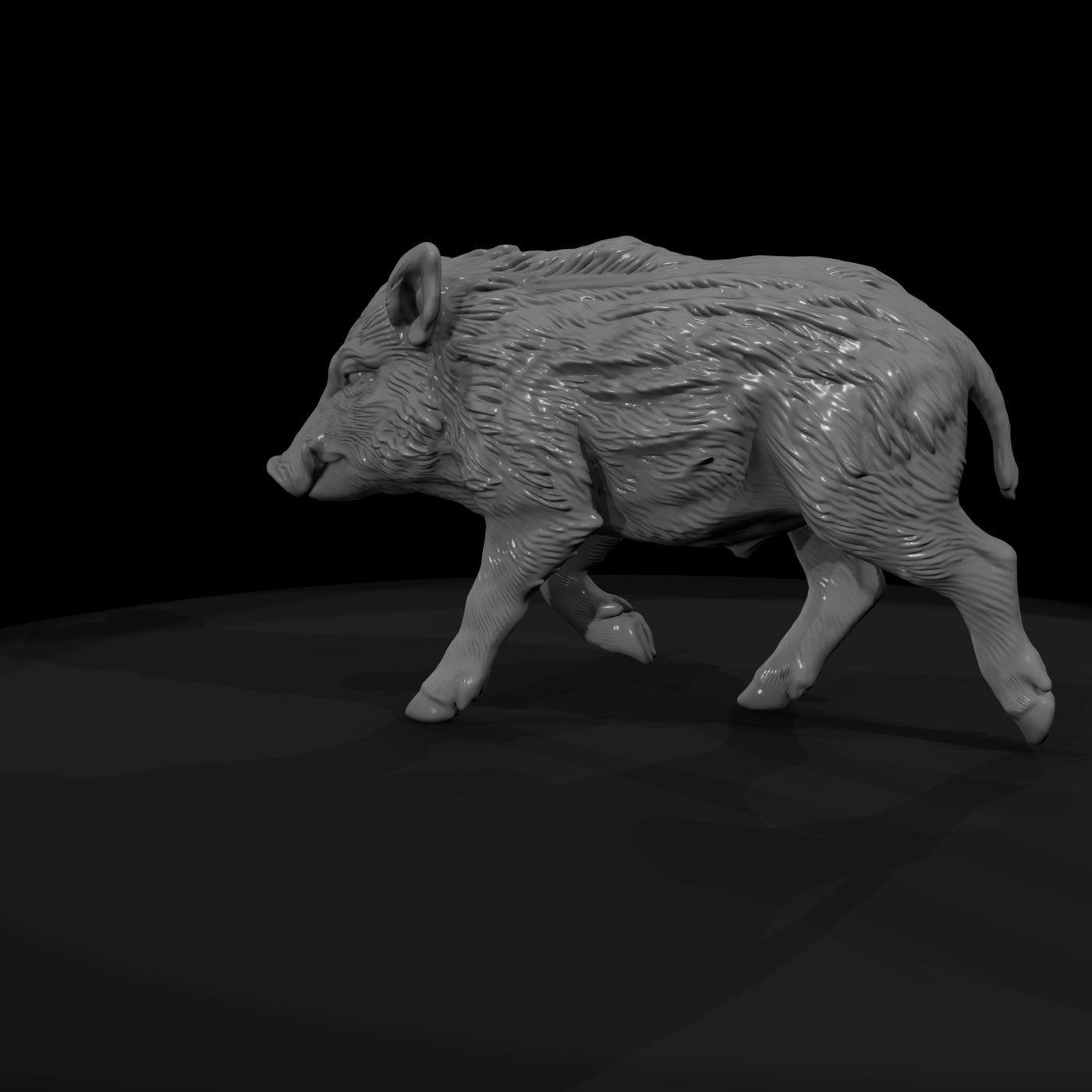 ant-075-wild-boar-adolescent