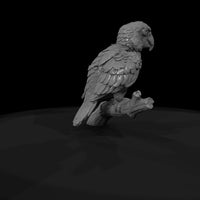 ant-285-scarlet-macaw-adolescent — thumbnail 7