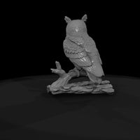 ant-118-great-horned-owl-male — thumbnail 7