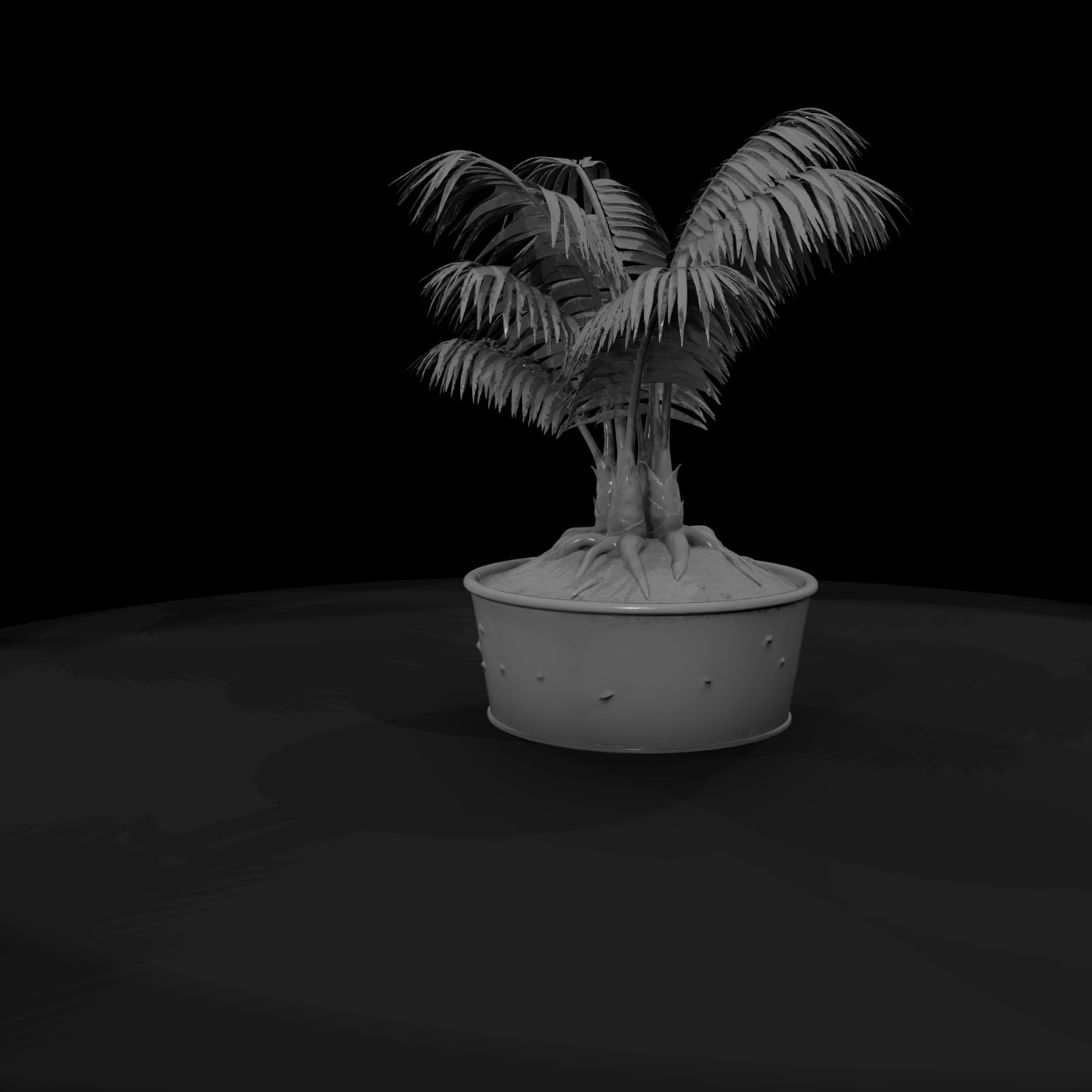 potted-palm-plant-miniature-643506