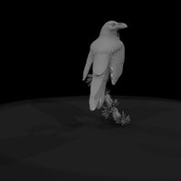 perched-raven-on-pine-branch-858575 — thumbnail 8