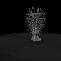 terror-from-the-deep-coral — thumbnail 9