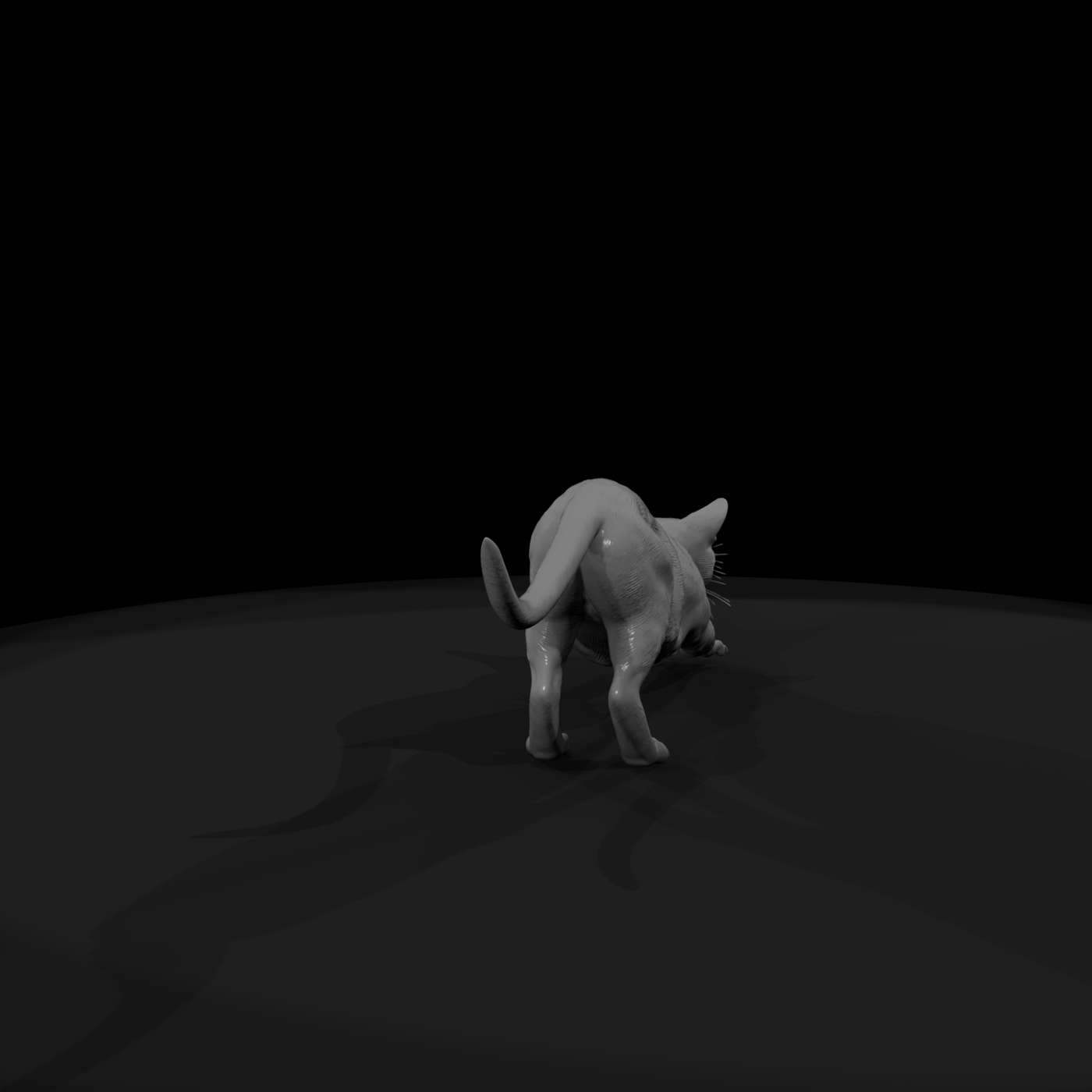 A Collection Of Housecats Gray Db27F8Fd Meshref