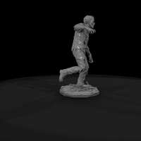 Zombie Zookeeper, Moderate Decay — thumbnail 8