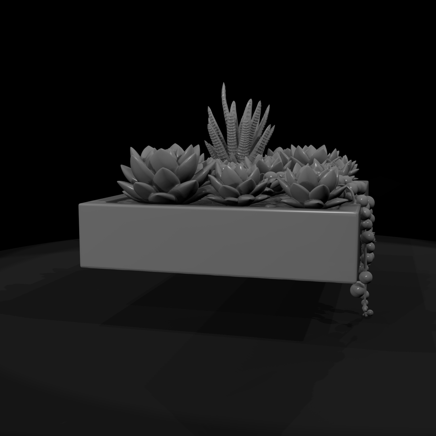 Stylized Monochrome Succulent Garden Planter Phnxh
