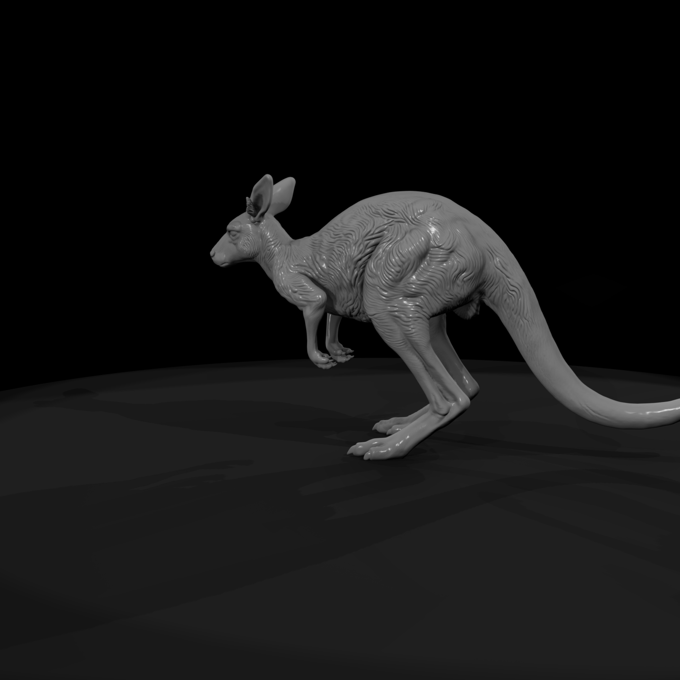 Ant 080 Red Kangaroo Female
