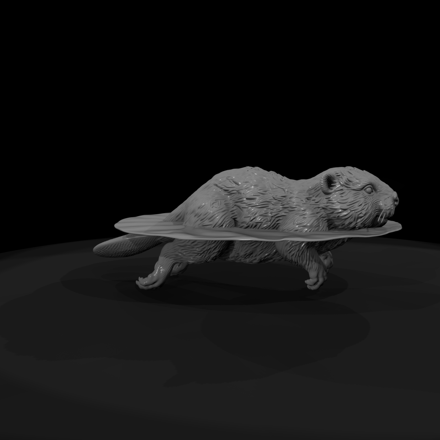 Adolescent Beaver