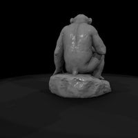 ant-194-chimpanzee-female — thumbnail 7