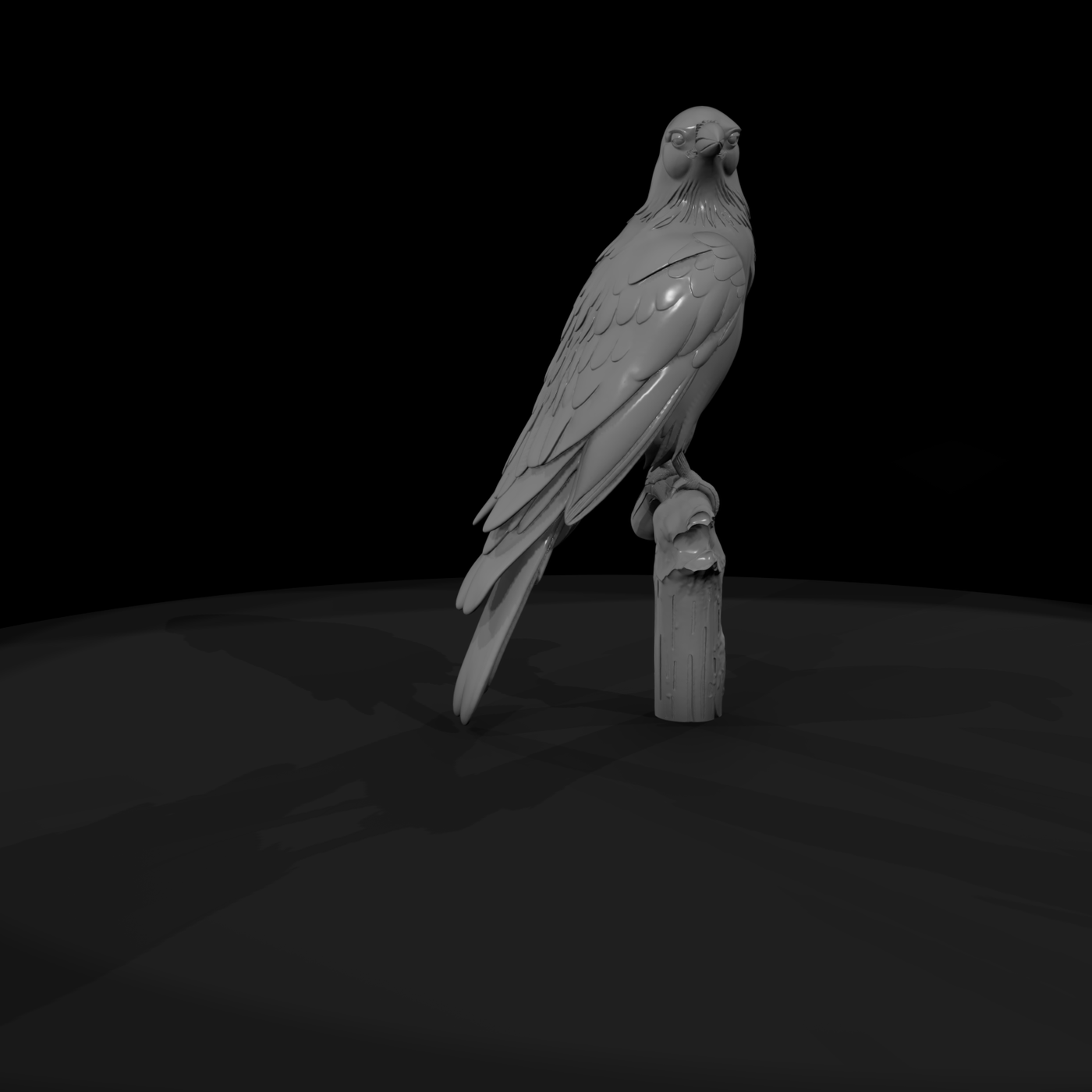 Perched Bird on Branch — accent