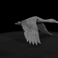 flying-duck-miniature-ho-1-87-scale-979126 — thumbnail 8