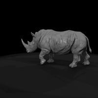 ant-032-white-rhinoceros-female — thumbnail 7