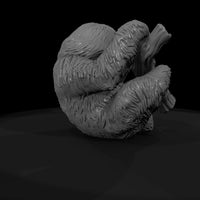 ant-203-three-toed-sloth-female — thumbnail 7
