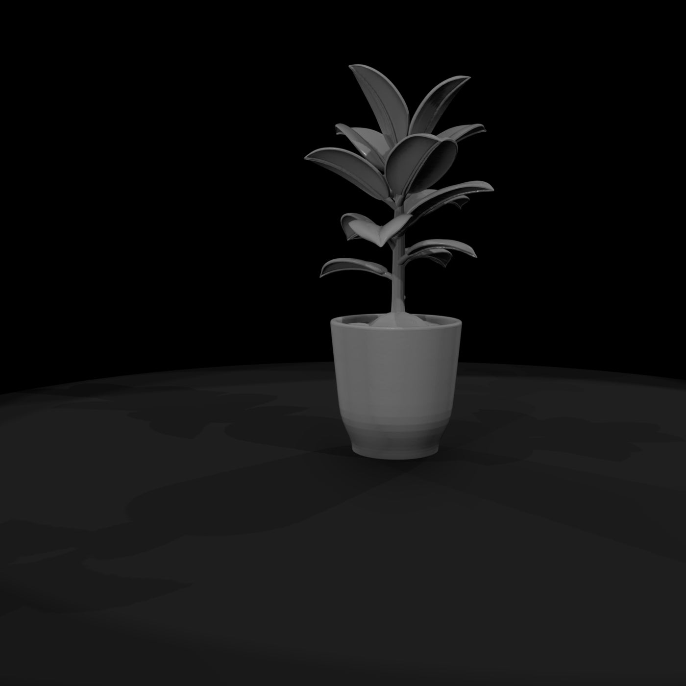 untextured-potted-rubber-plant-3d-model-gkku0lue