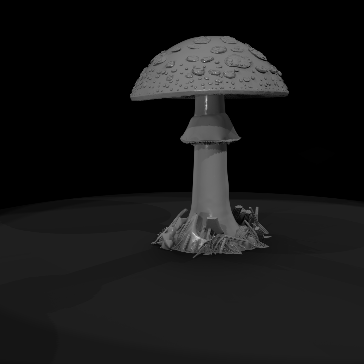 Fly Agaric Mushroom