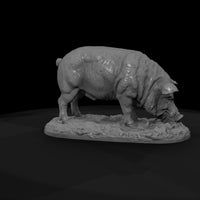 ww-0300-animal-hog — thumbnail 7