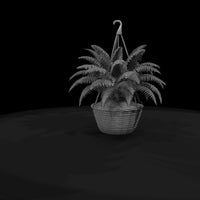 stylized-monochrome-hanging-fern-basket-3d-model-q — thumbnail 7