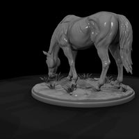 ww-0290-animal-grazing-mare — thumbnail 7