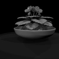 potted-african-violet-miniature-3d-printable-462562 — thumbnail 8
