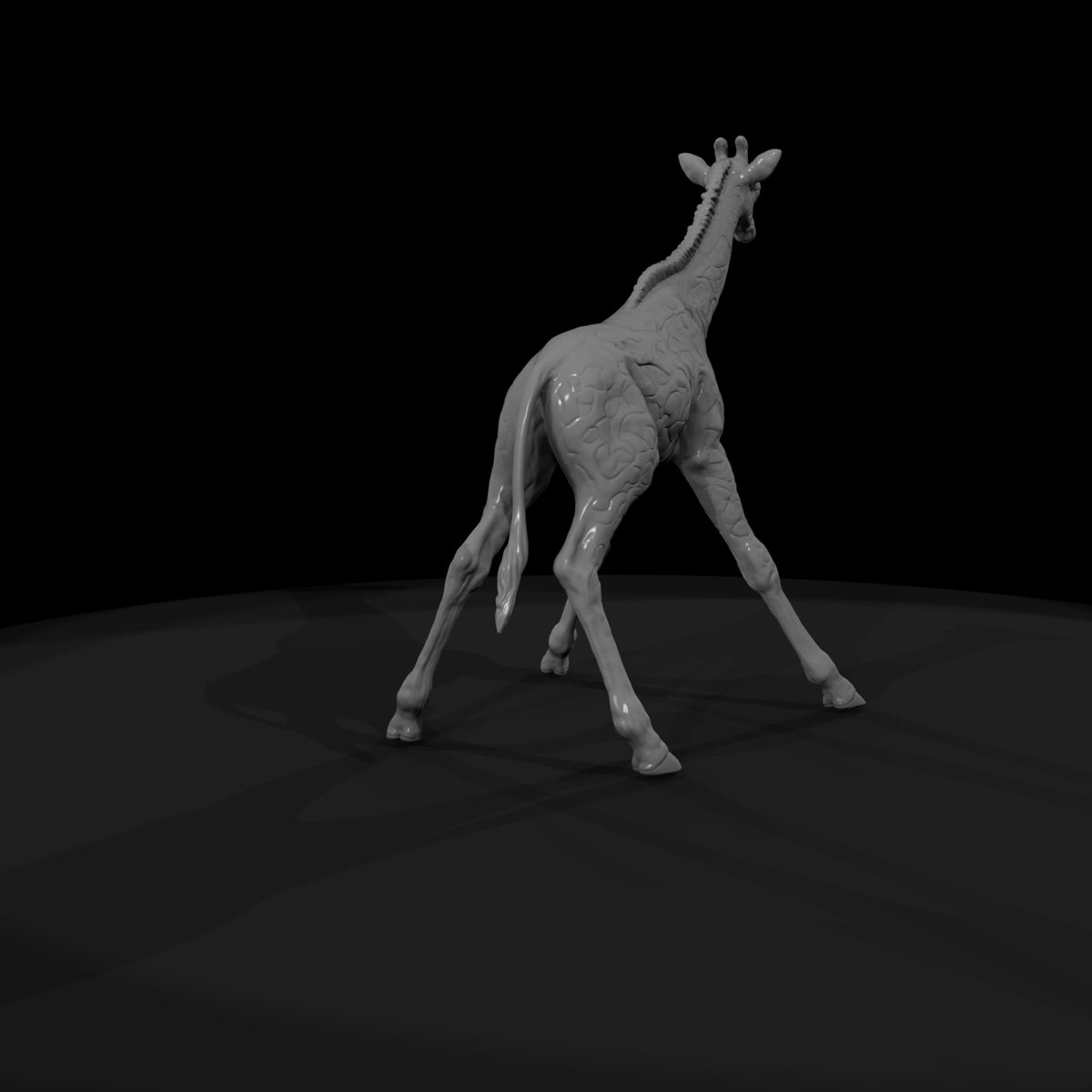 ant-027-giraffe-adolescent