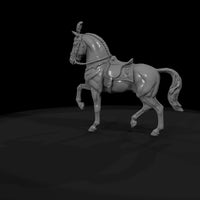 cir-126-animal-prancing-white-horse — thumbnail 7