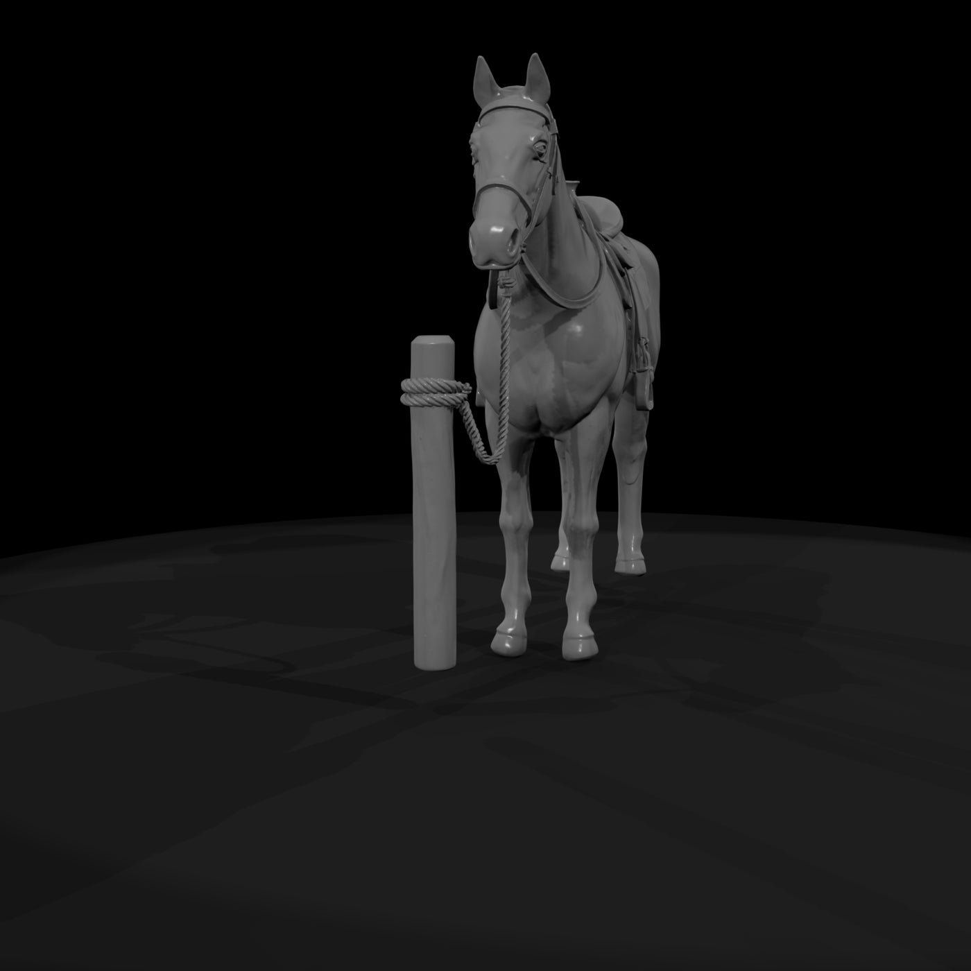 horse-white