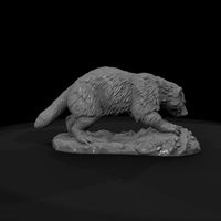 ww-0326-animal-badger — thumbnail 7