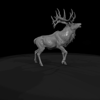 Male Elk — thumbnail 8