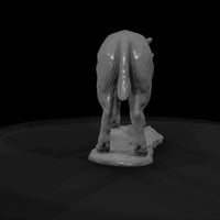 ant-273-musk-ox-adolescent — thumbnail 7