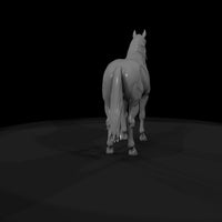 bay-horse — thumbnail 9
