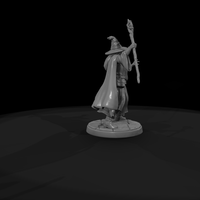 Spellcasting Wizard with Staff — thumbnail 8