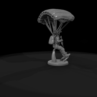 Army Ranger Paratrooper on Descent — thumbnail 8