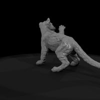 ant-147-cougar-adolescent — thumbnail 7