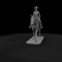 horse-09-teen-western-pleasure-09116b — thumbnail 8