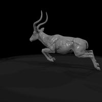 ant-064-impala-male — thumbnail 7