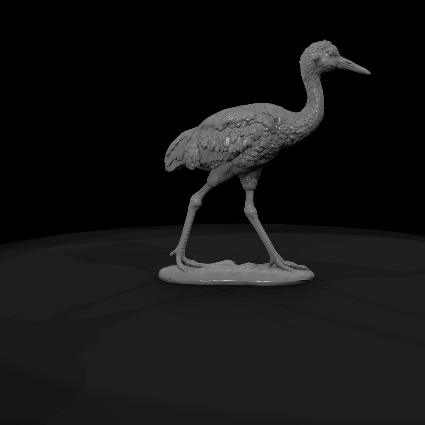 ant-132-sandhill-crane-adolescent