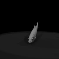 herring-fish-sculpt-diorama-display-prop-308691 — thumbnail 8