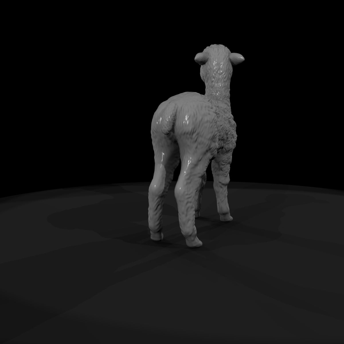 ant-222-alpaca-adolescent